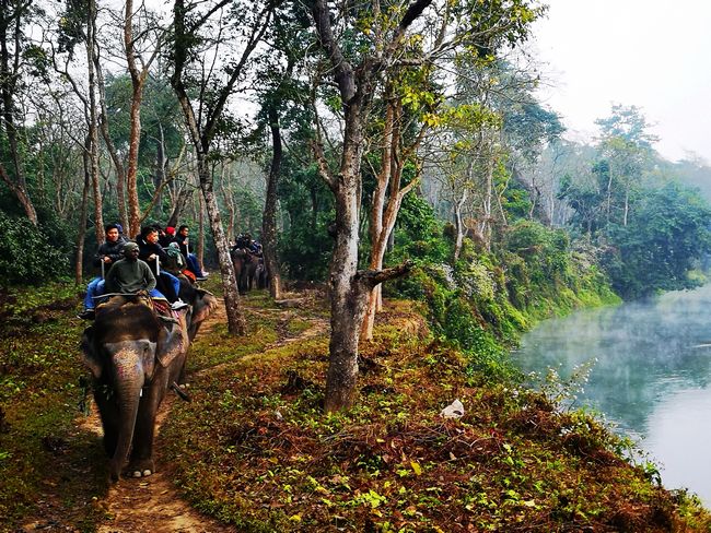 奇特旺国家广场 (3).jpg