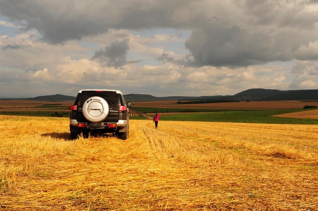 呼伦贝尔大草原，秋天 (53).jpg
