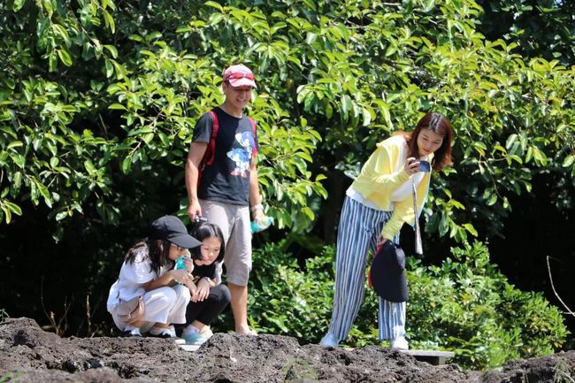 海南火山地质公园科考 (2).jpg