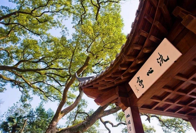 渌江书院 (5).jpg